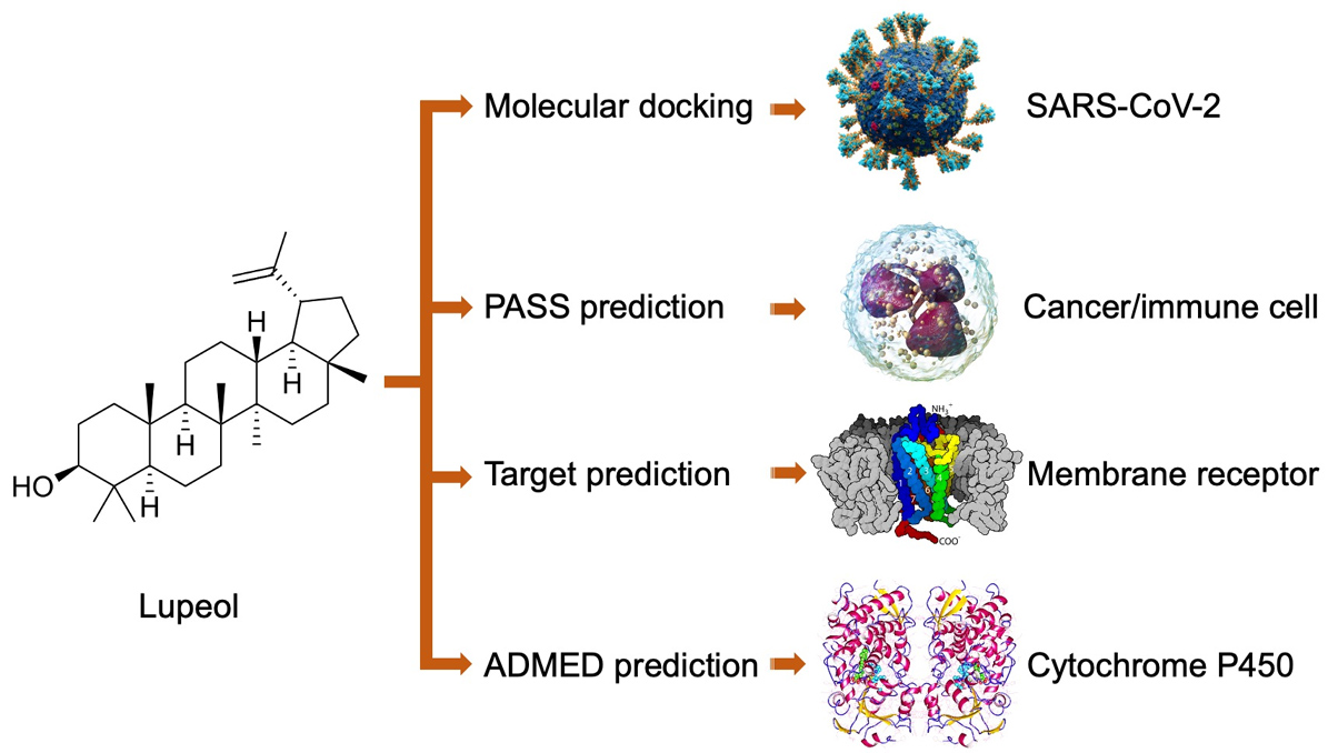 Graphical Abstract